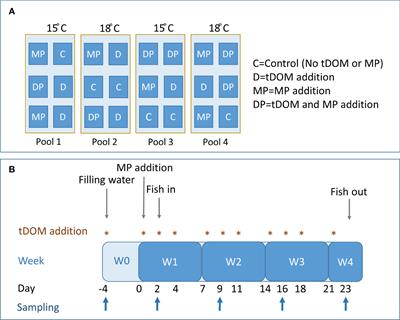 Effects on the food-web structure and bioaccumulation patterns of organic contaminants in a climate-altered Bothnian Sea mesocosms